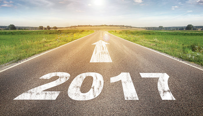 Road-to-2017-Goals